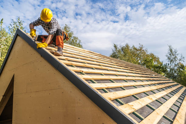 Roof Gutter Cleaning in Aiea, HI
