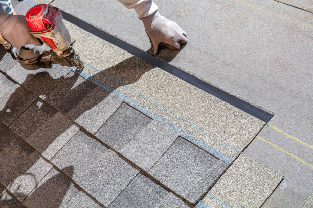 Best Roof Repair Services  in Aiea, HI